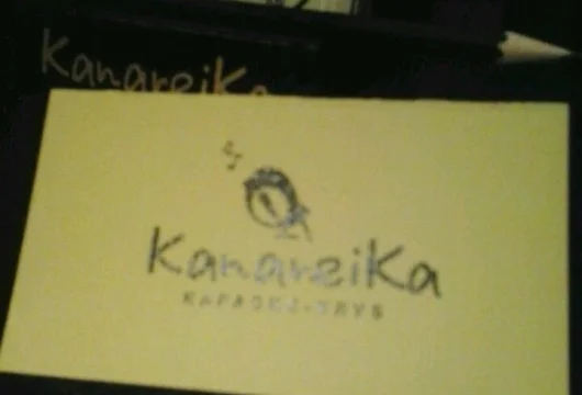 караоке-бар канарейка фото 2 - karaoke.moscow